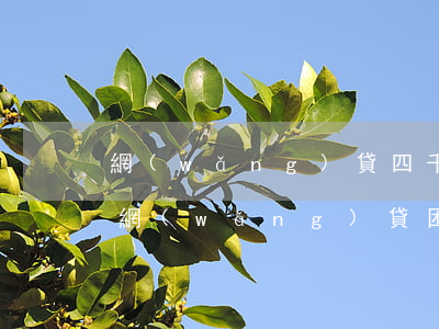 網(wǎng)貸四千還不上怎么辦呢，陷入網(wǎng)貸困境：四千未還，如何解決？